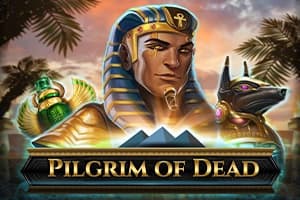 Pilgrim of Dead - Slot Play'n GO | RTP N/A | MisterTopCasino