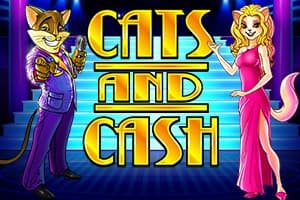 Cats & Cash - Slot Play'n GO | RTP N/A | MisterTopCasino