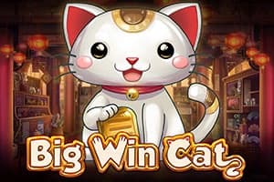 Big Win Cat - Slot Play'n GO | RTP N/A | MisterTopCasino