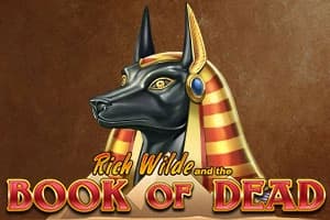 Book of Dead - Slot Play'n GO | RTP N/A | MisterTopCasino