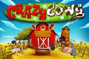 Crazy Cows - Slot Play'n GO | RTP N/A | MisterTopCasino