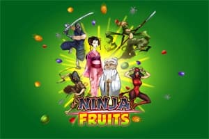 Ninja Fruits - Slot Play'n GO | RTP N/A | MisterTopCasino