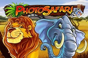 Photo Safari - Slot Play'n GO | RTP N/A | MisterTopCasino