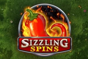 Sizzling Spins - Slot Play'n GO | RTP N/A | MisterTopCasino
