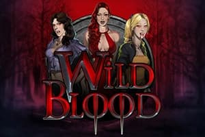 Wild Blood - Slot Play'n GO | RTP N/A | MisterTopCasino