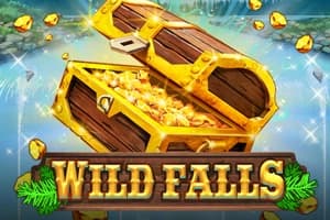 Wild Falls - Slot Play'n GO | RTP N/A | MisterTopCasino