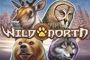 Wild North - Slot Play'n GO | RTP N/A | MisterTopCasino