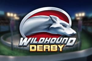 Wildhound Derby - Slot Play'n GO | RTP N/A | MisterTopCasino
