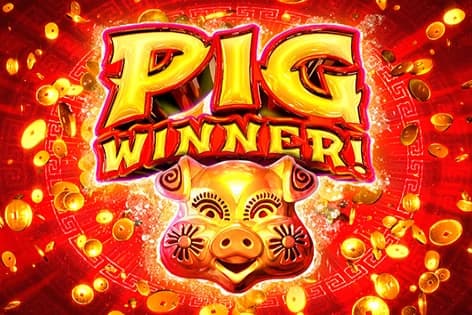 Pig Winner - Slot RTG | RTP N/A | MisterTopCasino
