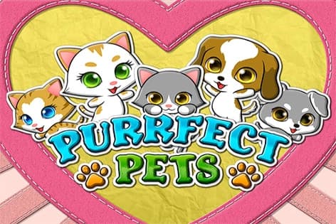 Purrfect Pets - Slot RTG | RTP N/A | MisterTopCasino