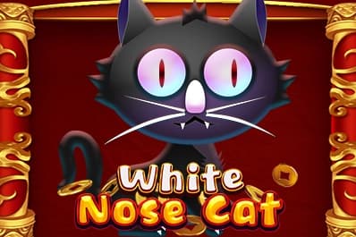 White Nose Cat - Slot KA Gaming | RTP N/A | MisterTopCasino