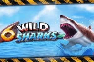 6 Wild Sharks - Slot 4ThePlayer | RTP 97% | MisterTopCasino