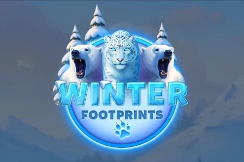 Winter Footprints - Slot Spinberry | RTP N/A | MisterTopCasino