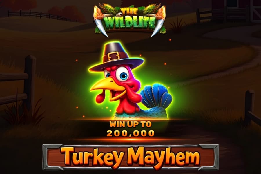Turkey Mayhem - Slot Spinomenal | RTP N/A | MisterTopCasino