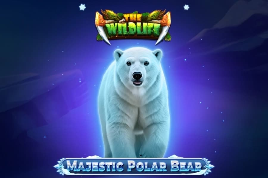Majestic Polar Bear - Slot Spinomenal | RTP N/A | MisterTopCasino