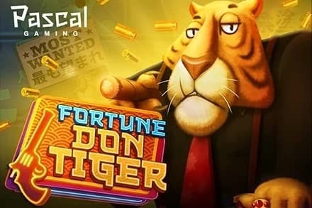 Fortune Don Tiger - Slot Pascal Gaming | RTP N/A | MisterTopCasino