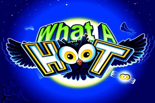 What A Hoot - Slot Games Global | RTP N/A | MisterTopCasino