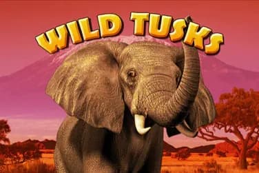 Wild Tusks - Slot High 5 Games | RTP N/A | MisterTopCasino