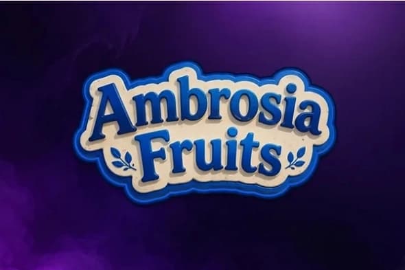 Ambrosia Fruits - Slot The Better Platform | RTP N/A | MisterTopCasino