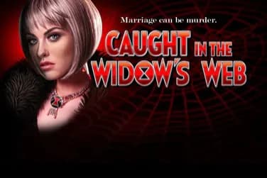 Caught In The Widow's Web - Slot High 5 Games | RTP N/A | MisterTopCasino