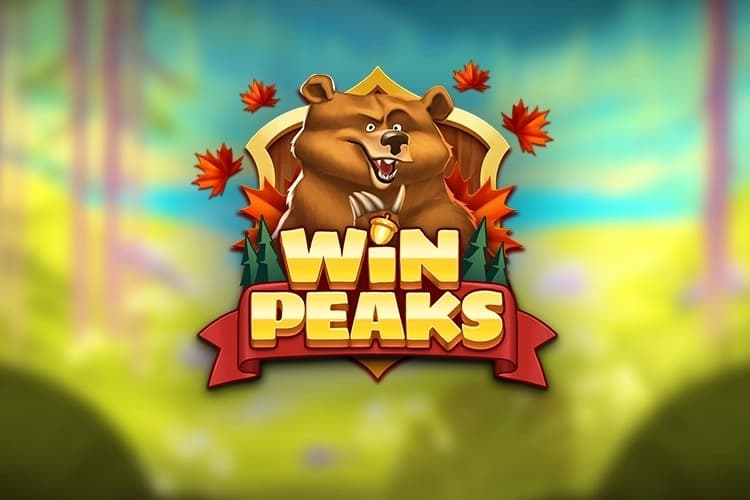 Win Peaks - Slot Playnetic | RTP N/A | MisterTopCasino