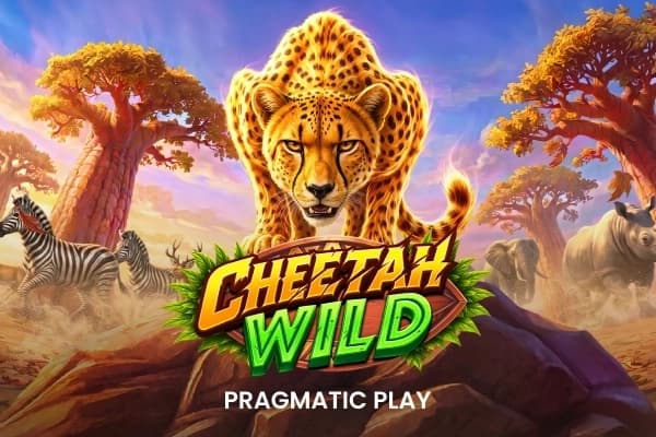 Cheetah Wild - Slot Pragmatic Play | RTP 96.5% | MisterTopCasino