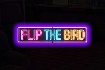 Flip The Bird - Slot Chaos Clinic | RTP N/A | MisterTopCasino