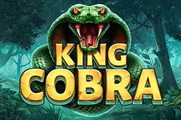 King Cobra - Slot Booming Games | RTP N/A | MisterTopCasino