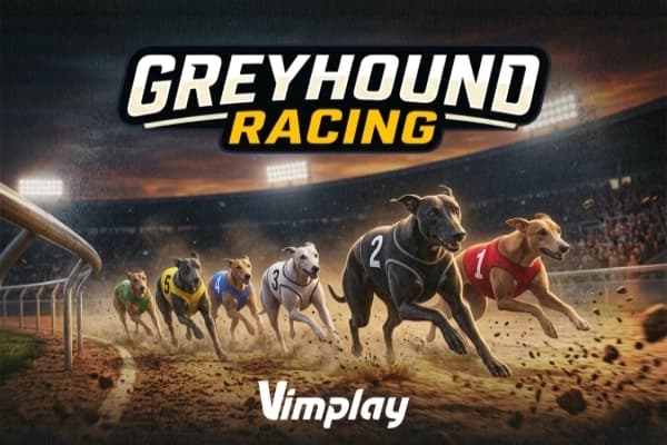 Greyhound Racing - Slot Vimplay | RTP N/A | MisterTopCasino