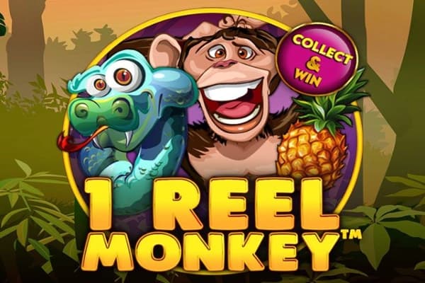 1 Reel Monkey - Slot Spinomenal | RTP N/A | MisterTopCasino