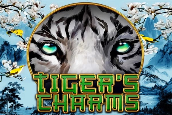Tiger's Charms - Slot Spinomenal | RTP N/A | MisterTopCasino