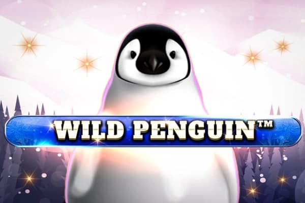 Wild Penguin - Slot Spinomenal | RTP N/A | MisterTopCasino
