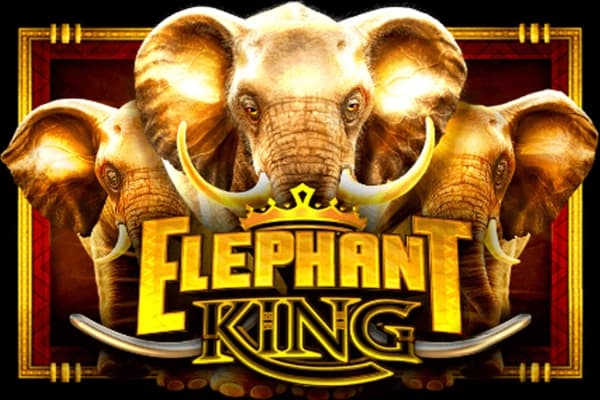 Elephant King - Slot IGT | RTP N/A | MisterTopCasino