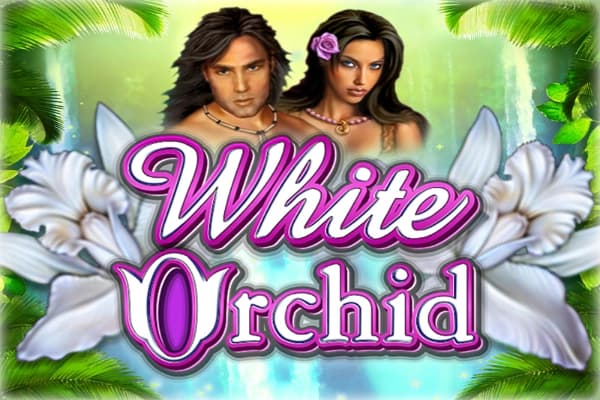 White Orchid - Slot IGT | RTP N/A | MisterTopCasino