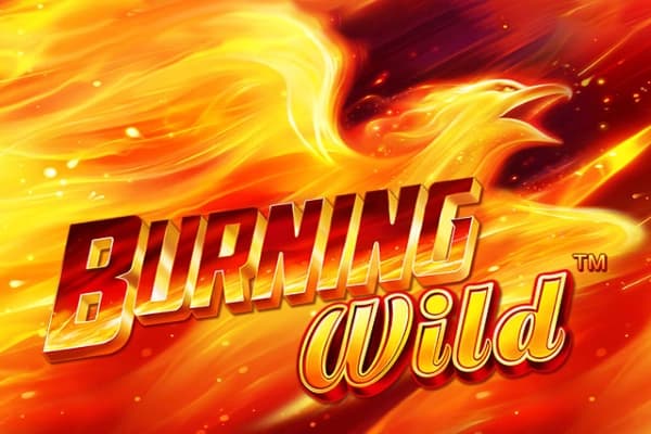 Burning Wild - Slot Greentube | RTP 95.17% | MisterTopCasino