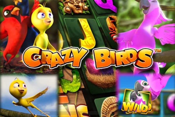 Crazy Birds - Slot Greentube | RTP N/A | MisterTopCasino