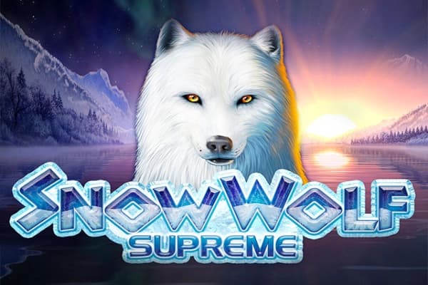 Snow Wolf Supreme - Slot Merkur | RTP N/A | MisterTopCasino