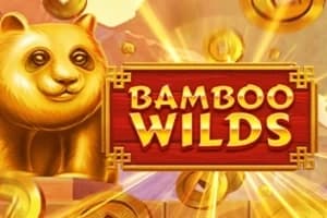 Bamboo Wilds - Slot Booming Games | RTP N/A | MisterTopCasino