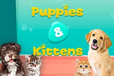 Puppies & Kittens - Slot Capecod Gaming | RTP N/A | MisterTopCasino