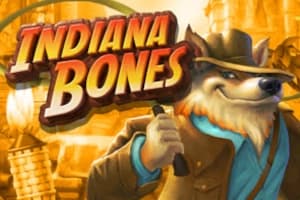 Indiana Bones - Slot High 5 Games | RTP N/A | MisterTopCasino