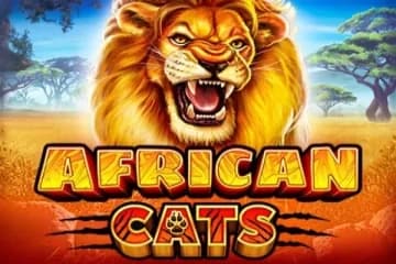 African Cats - Slot RubyPlay | RTP N/A | MisterTopCasino