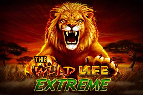The Wild Life Extreme - Slot IGT | RTP N/A | MisterTopCasino