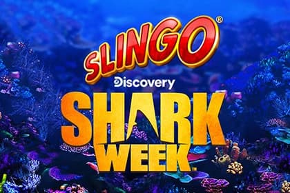 Slingo Shark Week - Slot Gaming Realms | RTP 95.43% | MisterTopCasino