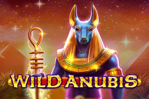 Wild Anubis - Slot Amatic | RTP N/A | MisterTopCasino