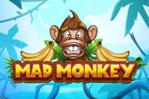 Mad Monkey - Slot Barbara Bang | RTP N/A | MisterTopCasino