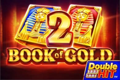 Book of Gold 2: Double Hit - Slot Playson | RTP N/A | MisterTopCasino