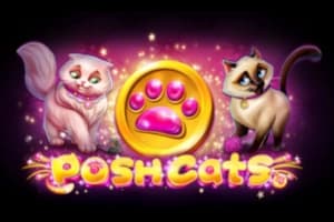 Posh Cats - Slot Platipus | RTP N/A | MisterTopCasino