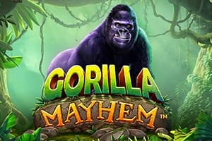 Gorilla Mayhem - Slot Pragmatic Play | RTP 96.5% | MisterTopCasino