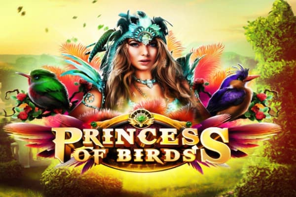 Princess of Birds - Slot Platipus | RTP N/A | MisterTopCasino