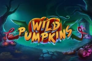 Wild Pumpkins - Slot TRUE LABS | RTP N/A | MisterTopCasino